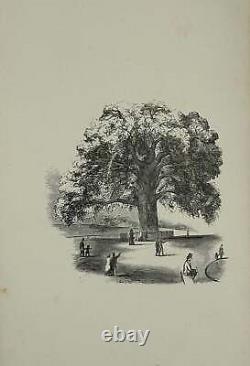 John Collins WARREN / The Great Tree on Boston Common Signed 1st Edition 1855