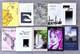 LOT of 10 Grace Cavalieri Poetry Books Signed, 1st Edition, Years 1976-2014 LN