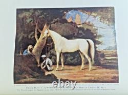 Lady Wentworth Signed Letter & more 1938 Thoroughbred Racing Stock 1st Edition
