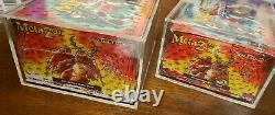 MetaZoo Cryptid Nation 1st Edition Kickstarter & 1st Edition Signed Booster box