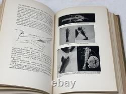 Myrtle Johnson / SEASHORE ANIMALS OF THE PACIFIC COAST SIGNED 1st Edition 1927