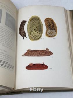 Myrtle Johnson / SEASHORE ANIMALS OF THE PACIFIC COAST SIGNED 1st Edition 1927