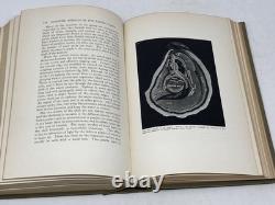 Myrtle Johnson / SEASHORE ANIMALS OF THE PACIFIC COAST SIGNED 1st Edition 1927