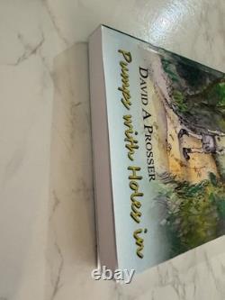Pumps With Holes In David A Prosser Signed 1st Pb 2011 + Bookmark Rare Oop Pumps With Holes In David A Prosser Signed 1st Pb 2011 + Bookmark Rare Oop