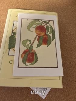 SIGNED Alice Waters Chez Panisse Fruit 1st Ed Cookbook with Limited Edition Prints
