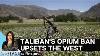 Taliban S Opium Ban Why The West Is Upset With The Decision Vantage With Palki Sharma