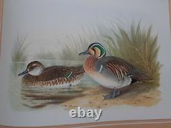 The Wildfowl Paintings Of Henry Jones, Limited Edition, Signed, 1st Ed, 1987